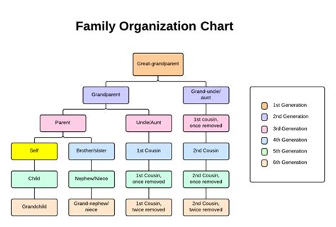 Family organization chart